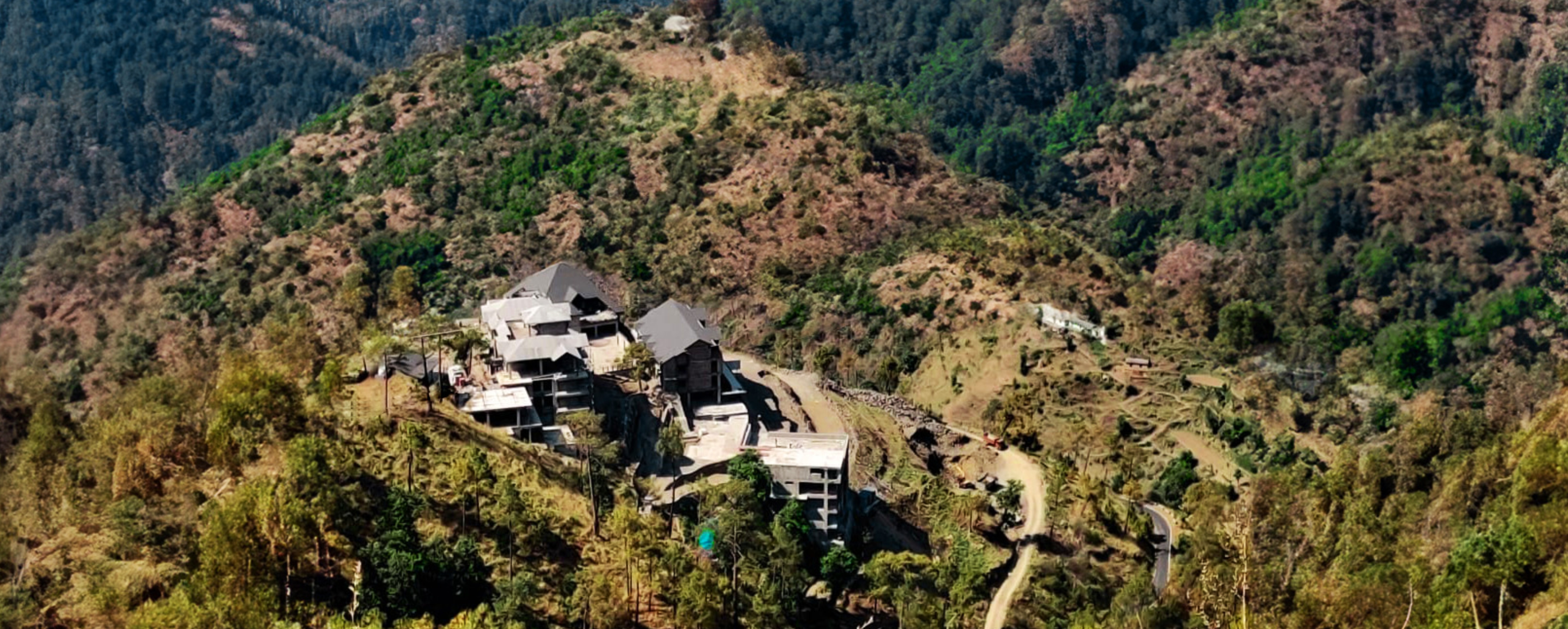MOUNTAIN LIVING